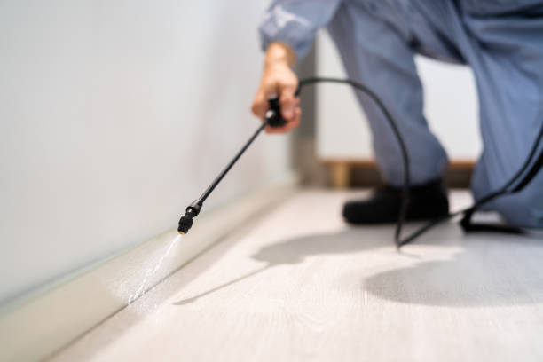 Professional exterminator conducting IPM assessment in Mount Airy