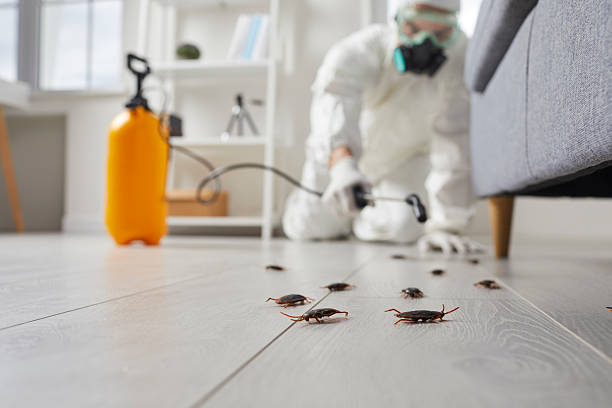 Commercial Rodent Management in Mount Airy